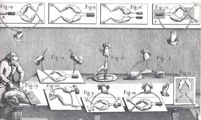 Luigi Galvani y los impulsos eléctricos