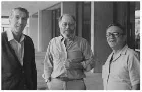 Bodin, Fisch, Watzlawick y Weakland