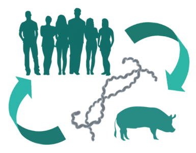 Se estableció el término "Zoonosis"