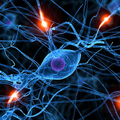 Timeline: Cronologia de la cèl·lula