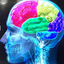 Hans Berger (1873-1941).