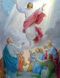 Dios Prometió Un Salvador