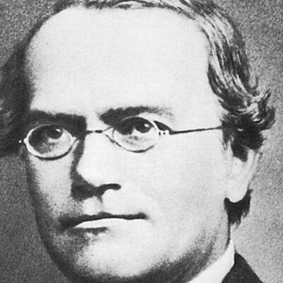 Timeline: Gregor Mendel