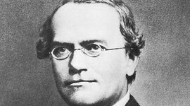 Timeline: Gregor Mendel