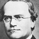 Gregor mendel 63c1154c 1200x630