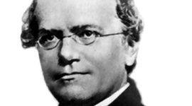 Timeline: Gregor Mendel