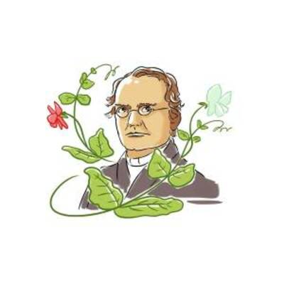 Timeline: Gregor Mendel