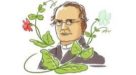 Timeline: Gregor Mendel