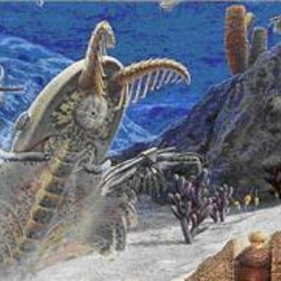 Timeline: El fanerozoico