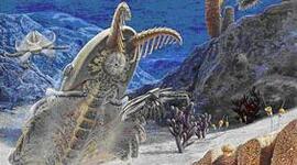 Timeline: El fanerozoico