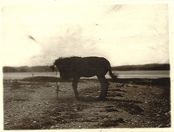 Impresiones fotográficas