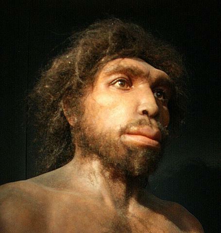 Homo rhodesiensis (600 mil anys)