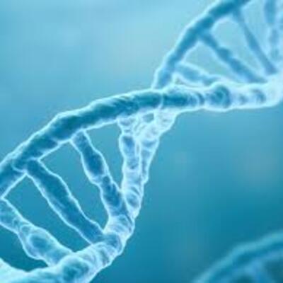 Timeline: Historia del ADN