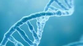 Timeline: Historia del ADN