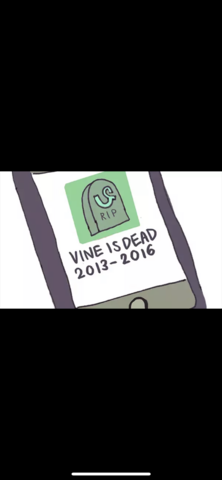 Vine Discontinued the app