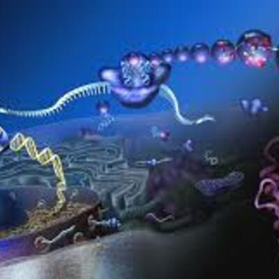 Timeline: Teoría Celular