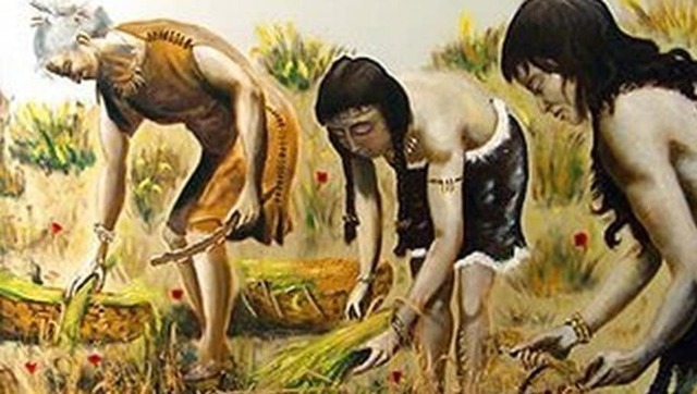 Manipulación de vegetales