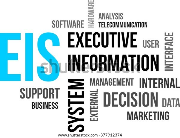 Sistemas de Información Ejecutivo (EIS)