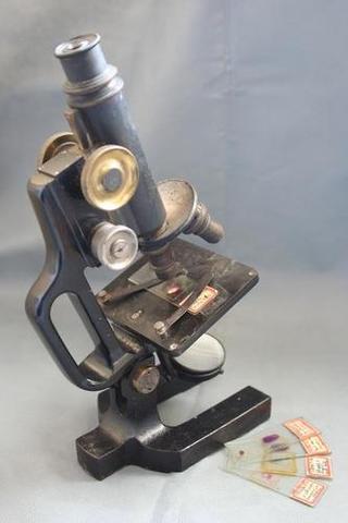 Anton Van Leeuwenhoek constructed the first high-powered microscope