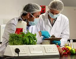 Toxicología de alimento o Bromatología