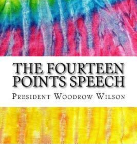 14 puntos Wilson