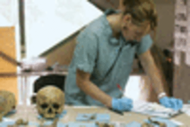 Fidelus was first to practice forensic medicine in Italy