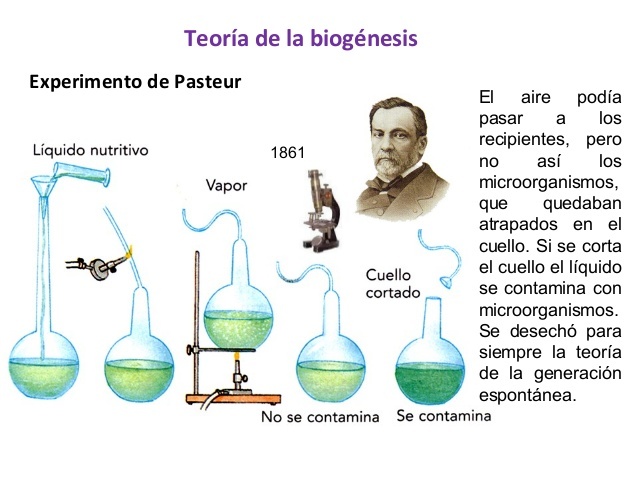 Pasteur