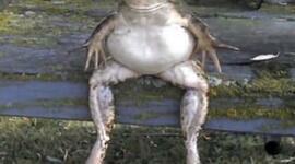 Timeline: Rock 'n' Roll Through the Decades