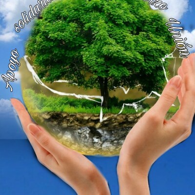 Timeline: La Política y El bien común