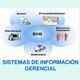 Sistemasdeinformacingerencial 110206184416 phpapp01 thumbnail 4