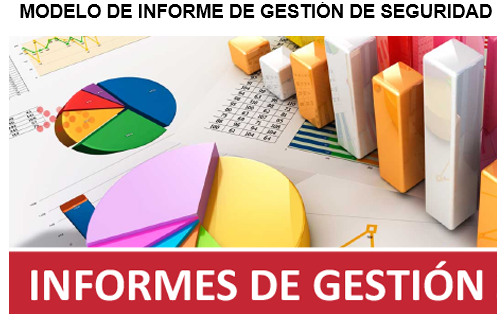 Infornes de Gestión