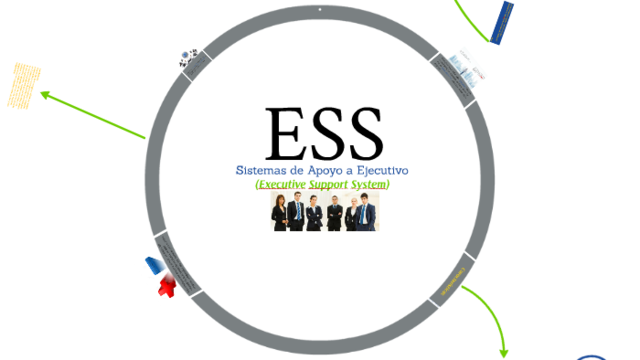 Apoyo Ejecutivo