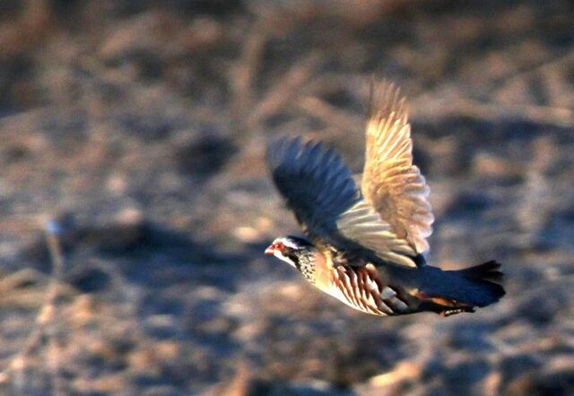 Fourth Valley: Hate.