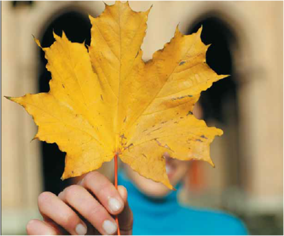Fundación del consejo de Negocios Canadá Perú