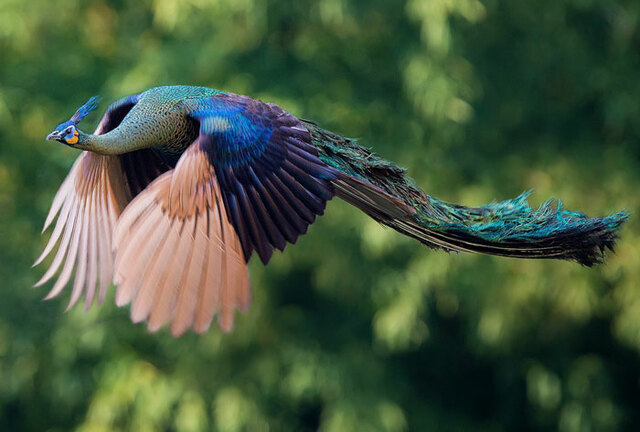 Fifth valley: Power.