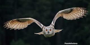 Seventh Valley: Despair