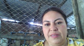 Timeline: Historia de la fitopatología