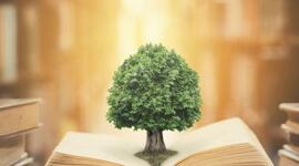 Timeline: ECOLOGÍA - ANTECEDENTES