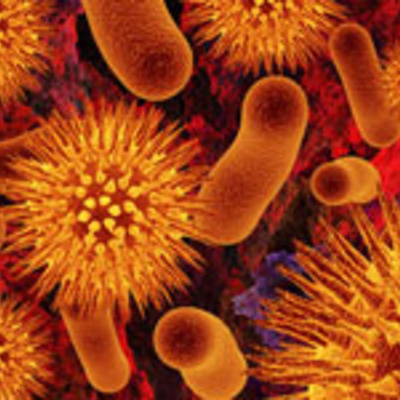 Timeline: Microbiología y parasitología