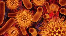 Timeline: Microbiología y parasitología