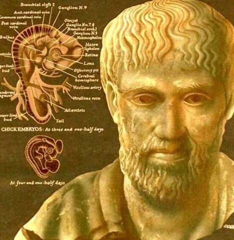 El conocimiento anatómico del cuerpo humano se remonta a quinientos años antes de Cristo en el sur de Italia con Alcméon de C
