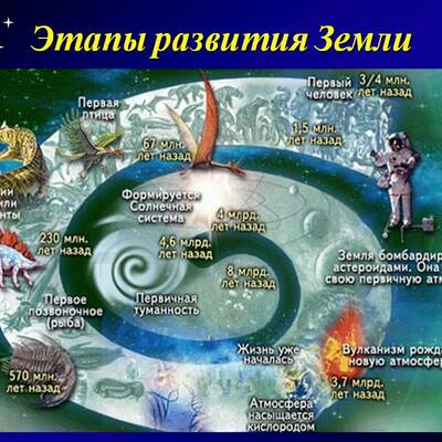 Timeline: этапы развития жизни на Земле