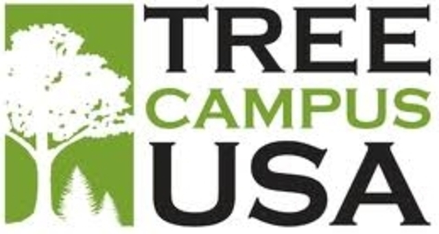 Tree Campus USA designation