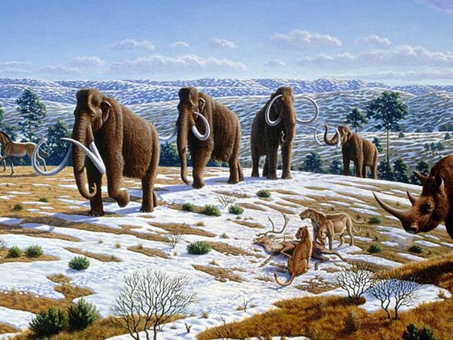 Plistocè (1,8 Ma - 11000 anys)