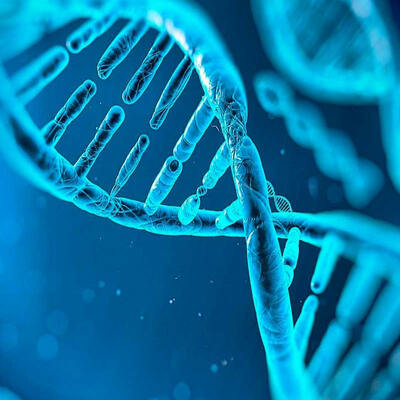 Timeline: Genetica mendeliana