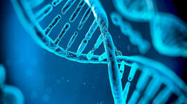 Timeline: Genetica mendeliana