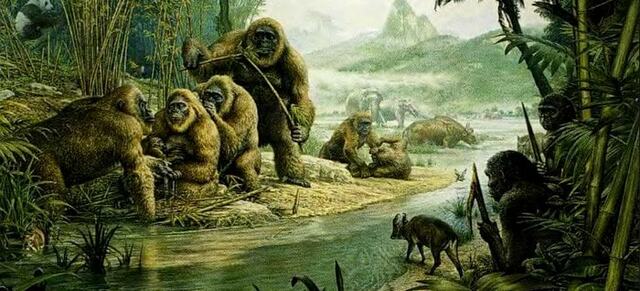 Кайнозой 67 млн лет назад и до сих пор