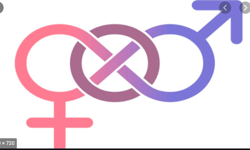 Teoría Queer (S. XX 90)