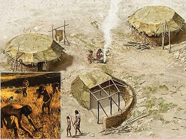 Occupation du village de Mallaha (Israël)