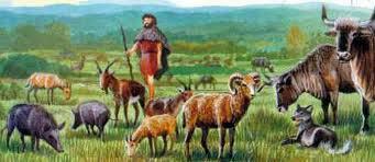 Début de la domestication des animaux